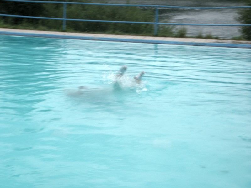 mb050804041.jpg